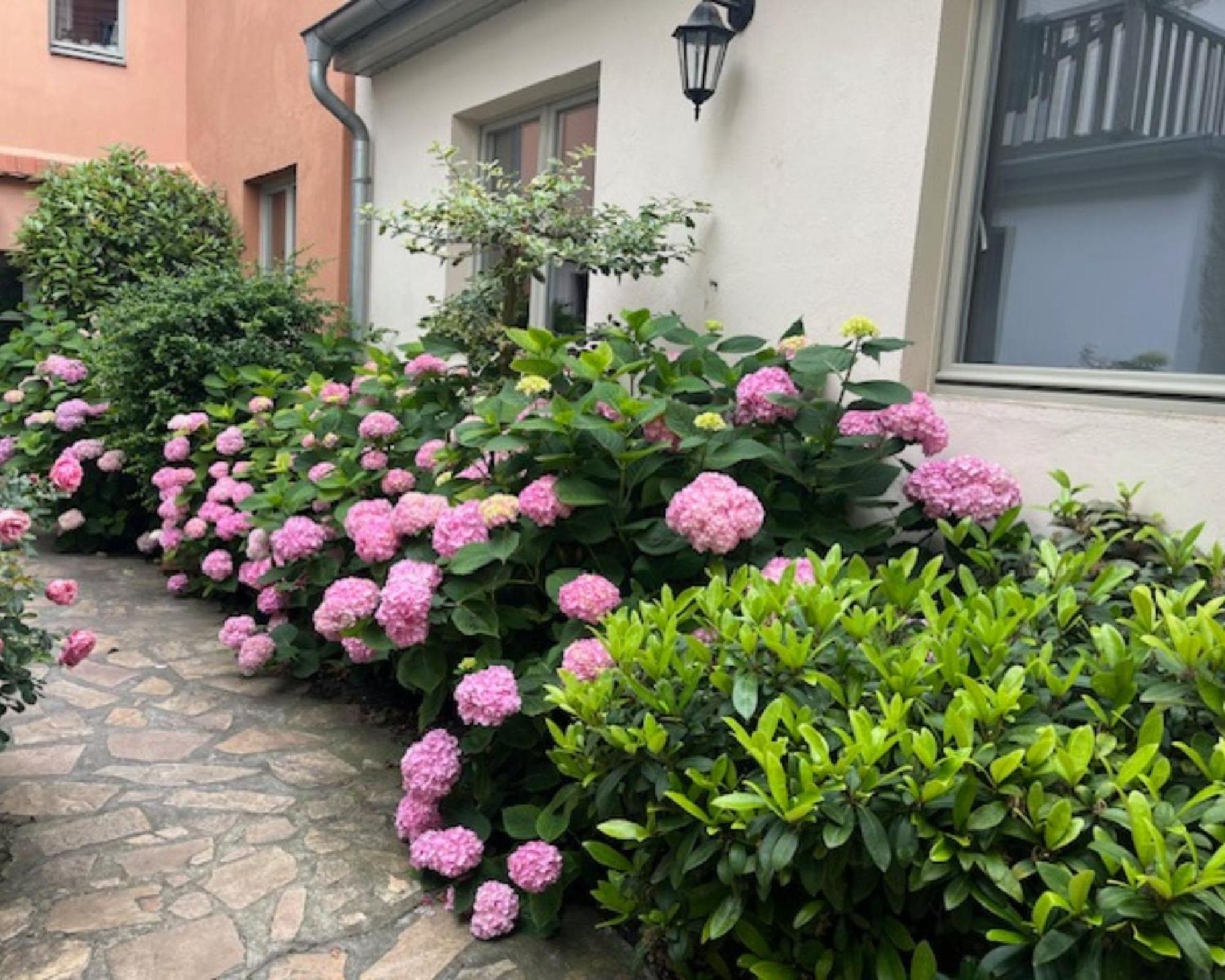 Altstadt-Quartier Stendal Exterior foto